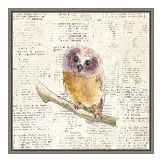 Amanti Art Into the Woods II no Border (Owl) Canvas Wall Art