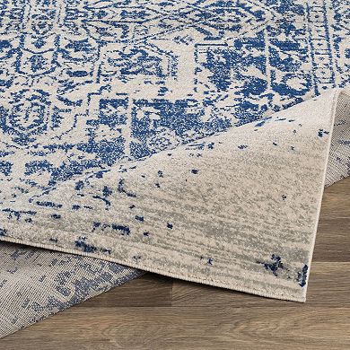 Decor 140 Astra Distressed Traditional Rug