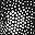 Black Print
