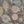 Gray Beige