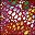 Red Multi