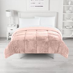 Urban Playground Olivia pink comf st 2-Piece Pink Twin/Twin Xl Comforter Set  in the Bedding Sets department at