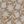Fawn Neutral Floral