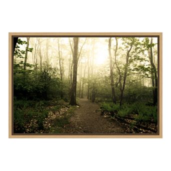 Amanti Art Appalachian Trail Canvas Framed Wall Art