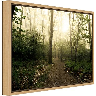 Amanti Art Appalachian Trail Canvas Framed Wall Art