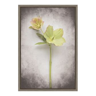 Amanti Art V-Hellebore Study II Canvas Framed Wall Art