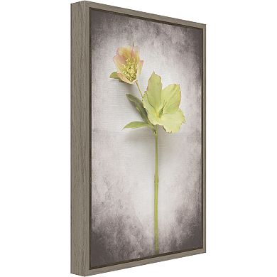 Amanti Art V-Hellebore Study II Canvas Framed Wall Art