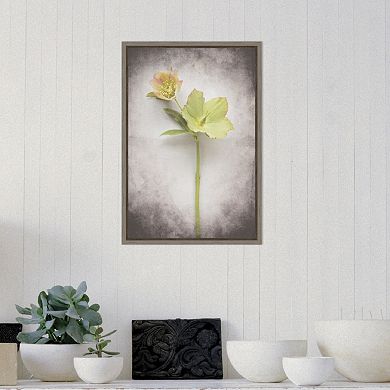 Amanti Art V-Hellebore Study II Canvas Framed Wall Art