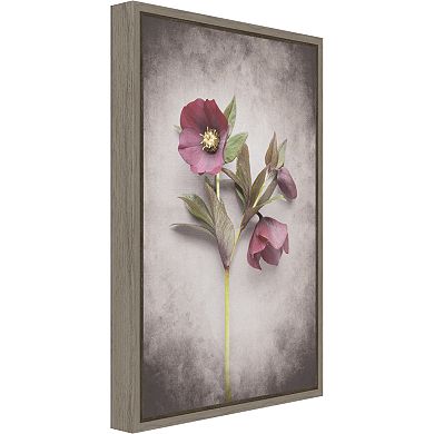 Amanti Art V-Hellebore Study V Canvas Framed Wall Art