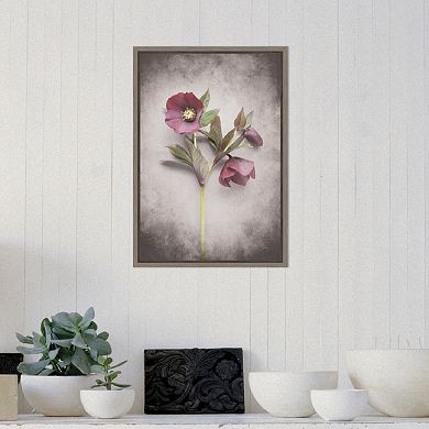 Amanti Art V-Hellebore Study V Canvas Framed Wall Art
