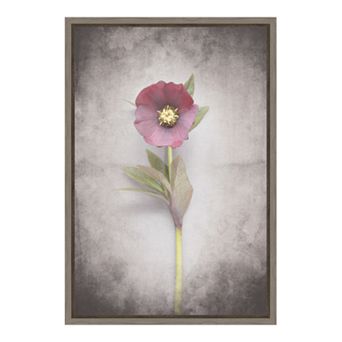 Amanti Art V-Hellebore Study VI Canvas Framed Wall Art