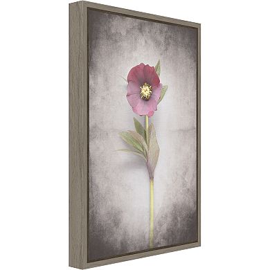 Amanti Art V-Hellebore Study VI Canvas Framed Wall Art