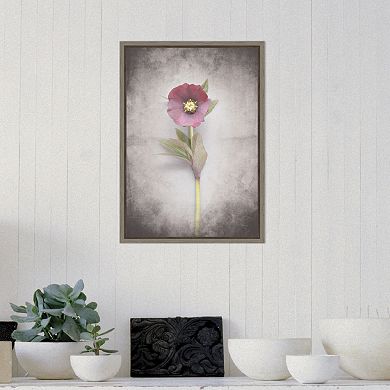 Amanti Art V-Hellebore Study VI Canvas Framed Wall Art