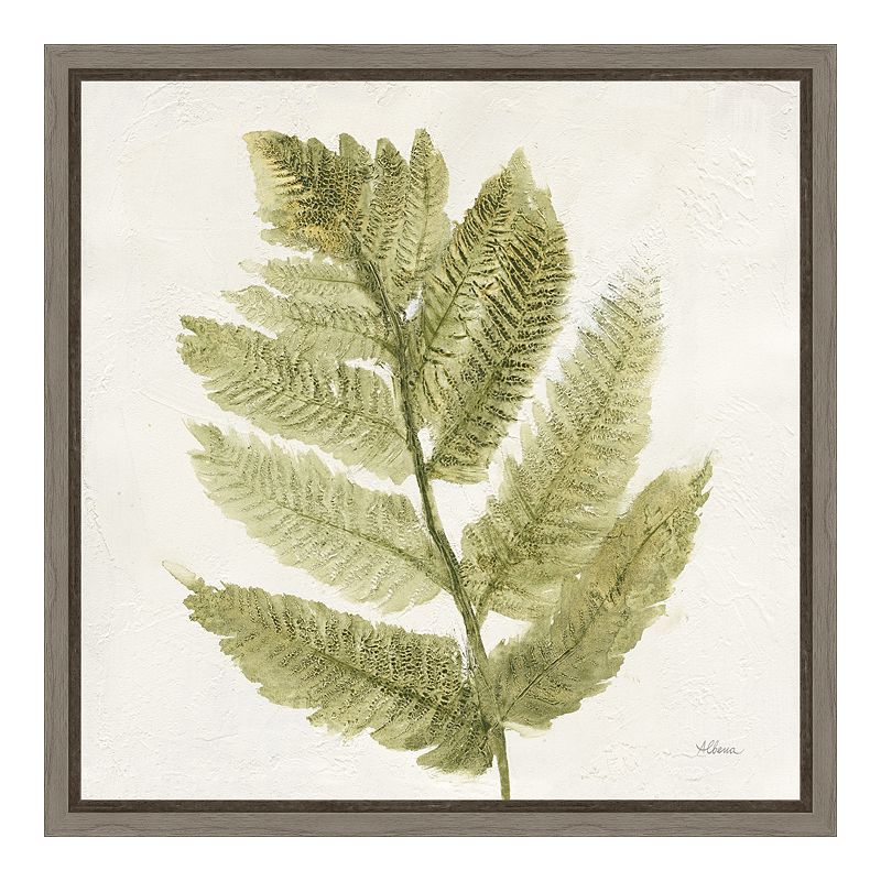 Amanti Art Forest Ferns I Canvas Framed Wall Art, Grey, 16X16