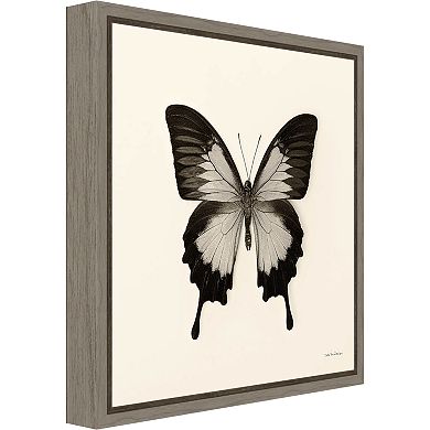 Amanti Art Butterfly III Canvas Framed Wall Art