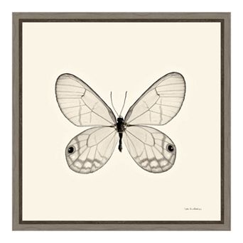 Amanti Art Butterfly I Canvas Framed Wall Art