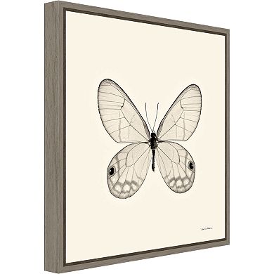 Amanti Art Butterfly I Canvas Framed Wall Art