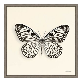 Amanti Art Butterfly V Canvas Framed Wall Art