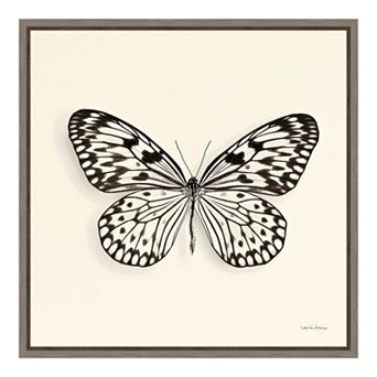 Amanti Art Butterfly V Canvas Framed Wall Art