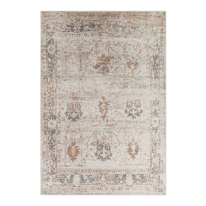 Decor 140 Lyra Distressed Traditional Rug, Grey, 8X10 Ft