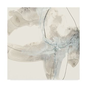 Trademark Fine Art Divination IV Canvas Wall Art