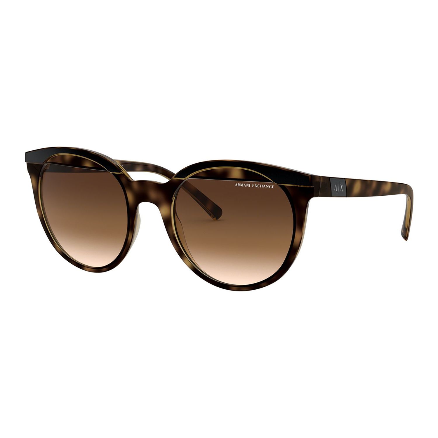 armani exchange forever young sunglasses