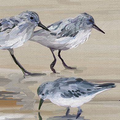 Fine Art Canvas Sandpiper Beach II Amber by Studio Arts Wall Art