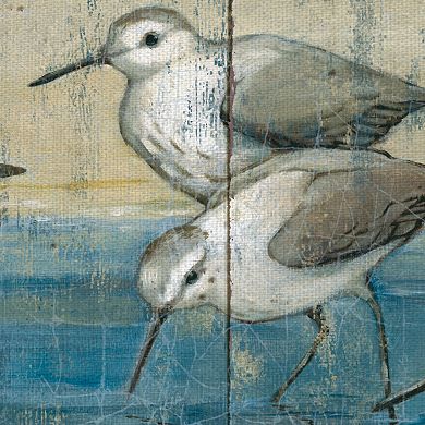 Fine Art Canvas Sandpipers on Wood by Paul Brent Wall Art