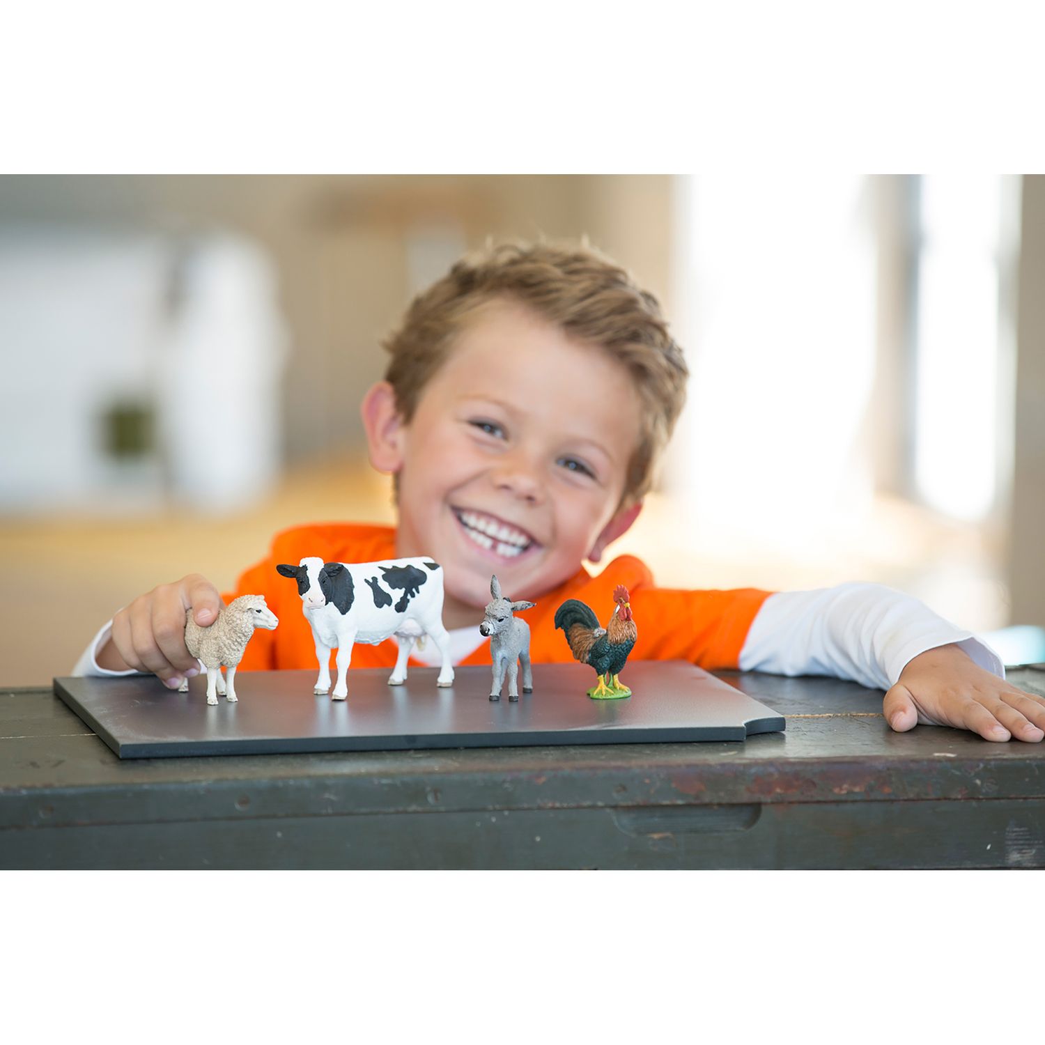 schleich farm world starter set