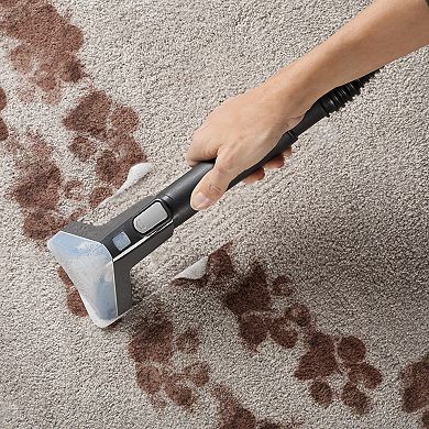 Hoover Power Scrub Elite Pet Carpet Cleaner