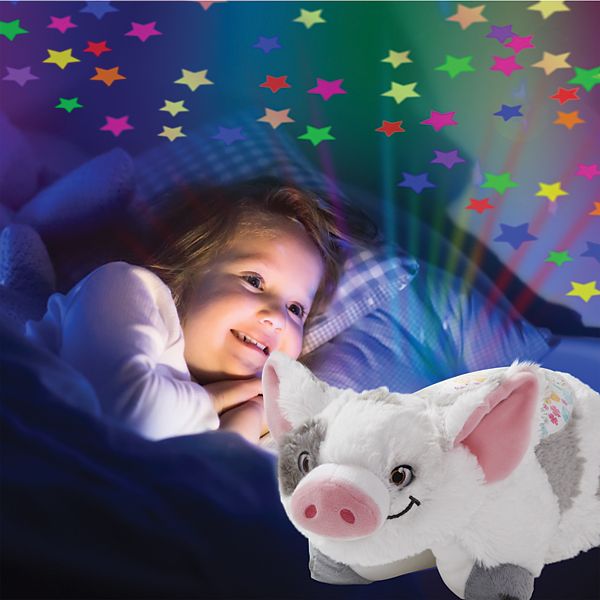 pua moana pillow pet