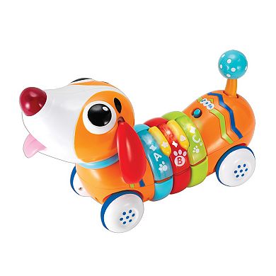 Winfun Remote Control Rainbow Pup
