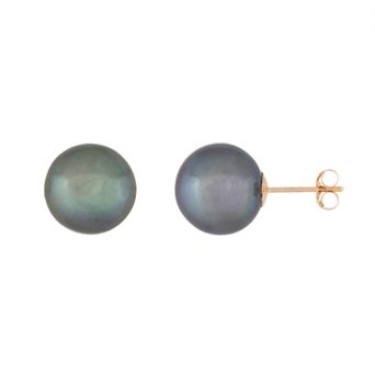 Splendid Pearls 14k Gold 10 mm Freshwater Cultured Pearl Stud Earrings