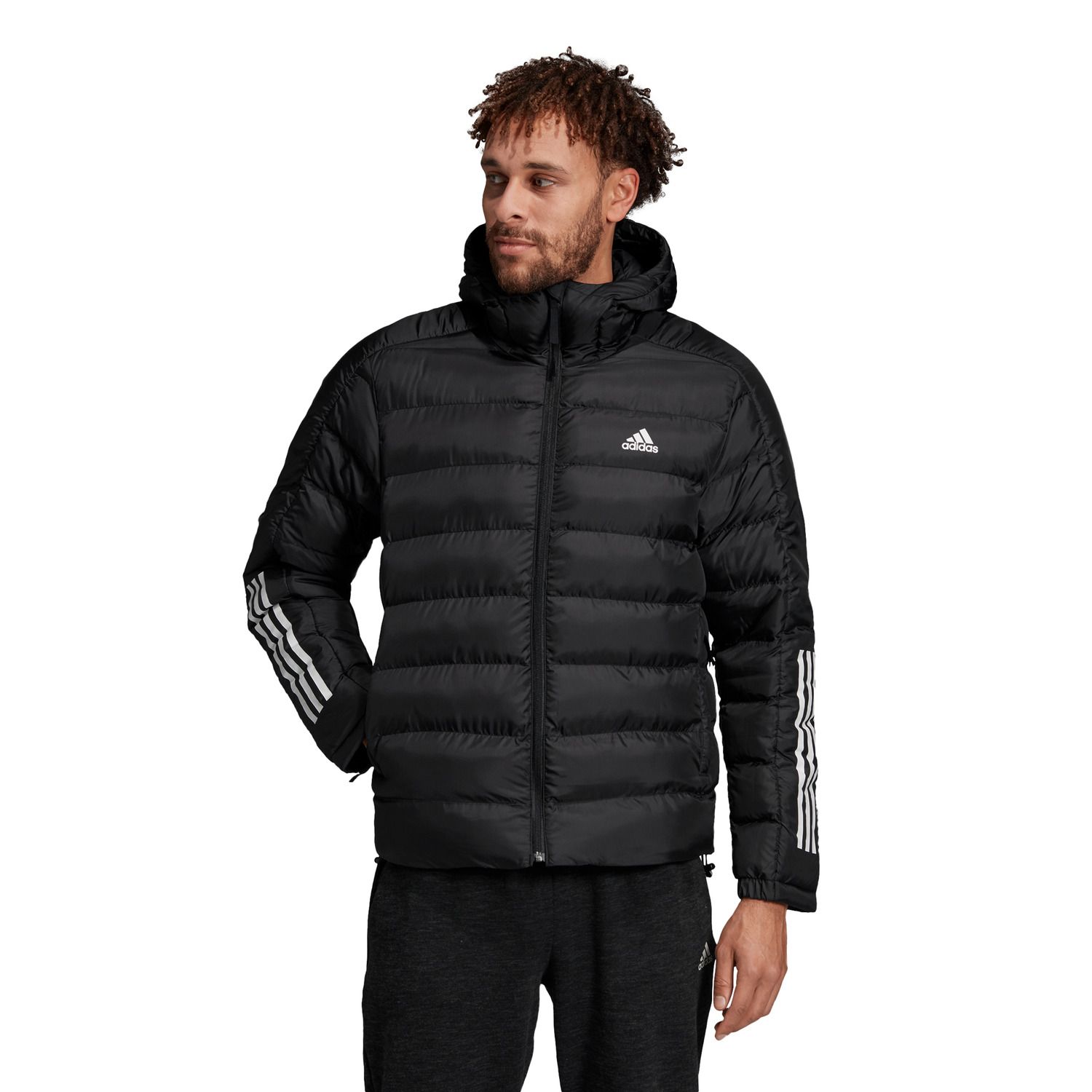 kohls adidas mens jacket