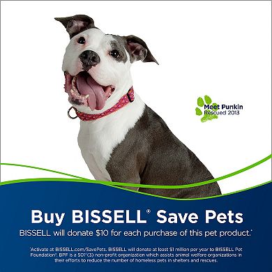 BISSELL PowerClean Rewind Pet Vacuum (2494)