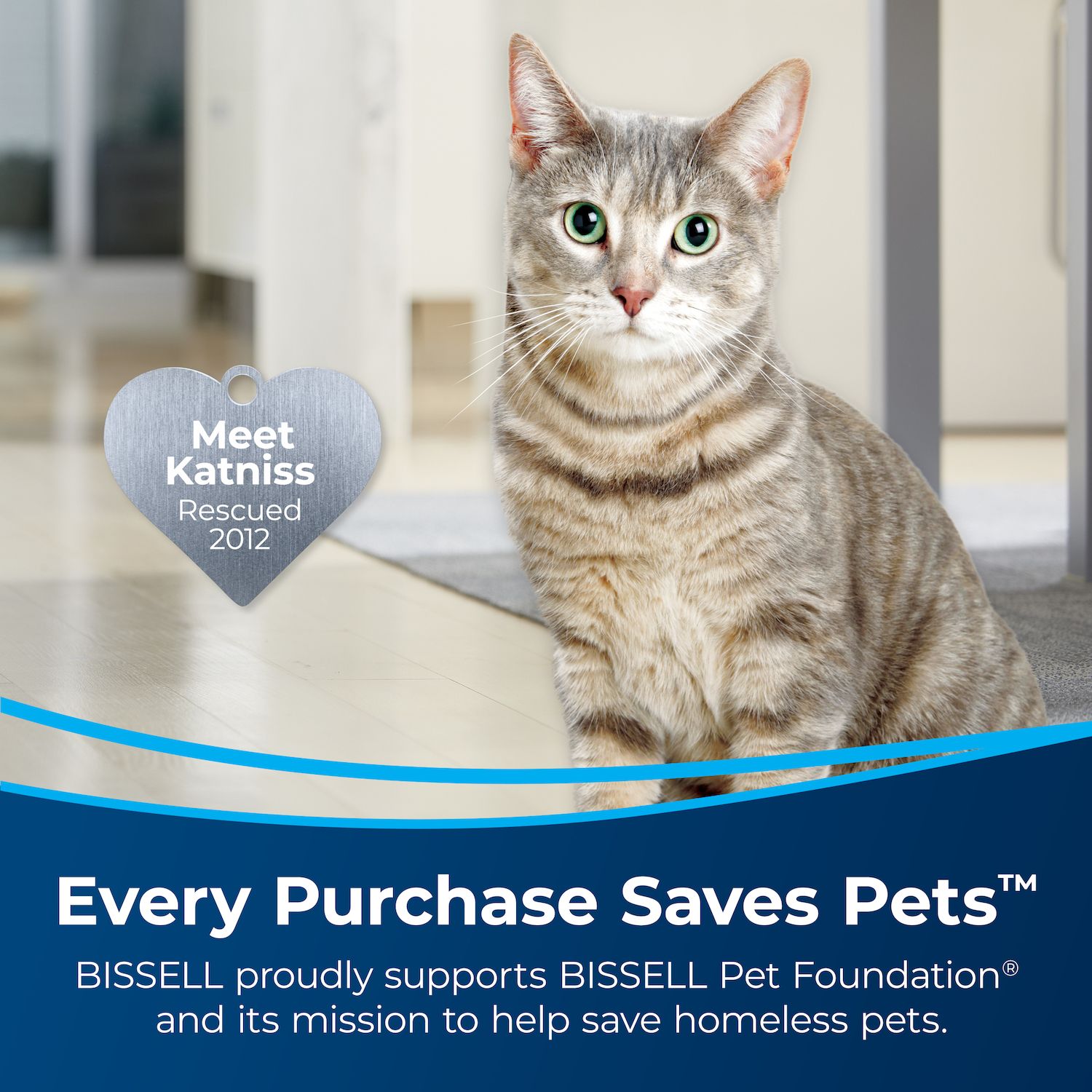 Bissell Floor Cleaning Formula - Thumbnail 2
