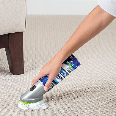 BISSELL Woolite Carpet & Upholstery Cleaner Stain Remover (4-Pack)
