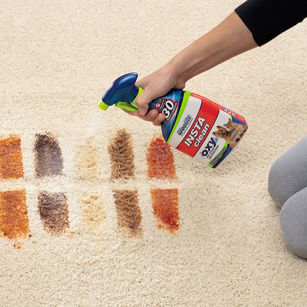 BISSELL Woolite InstaClean Permanent Pet Stain Remover (2Pack)