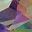Mystic Topaz