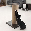 Scratching Posts