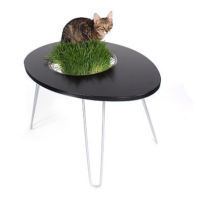 Hauspanther NestEgg Raised Cat Bed & Side Table