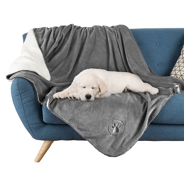 Waterproof discount pet blanket