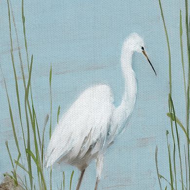 Fine Art Canvas "White Shorebird I" by Sally Swatland Wall Art