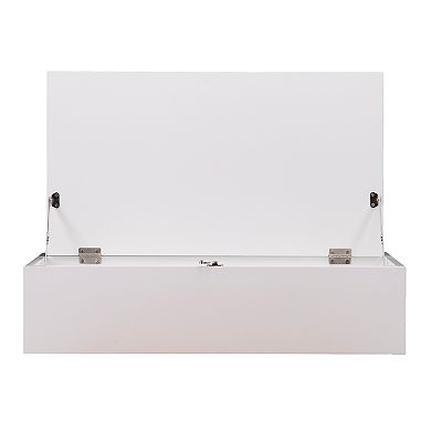 Southern Enterprises Axem Wall-Mount Folding Laptop Desk