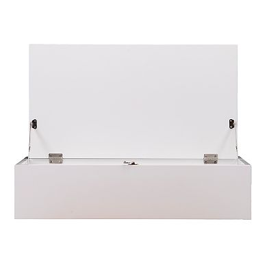 Southern Enterprises Axem Wall-Mount Folding Laptop Desk