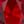 Simulated Ruby