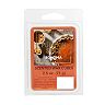 Sonoma Goods For Life® Pumpkin Spice Wax Melt 6-piece Set