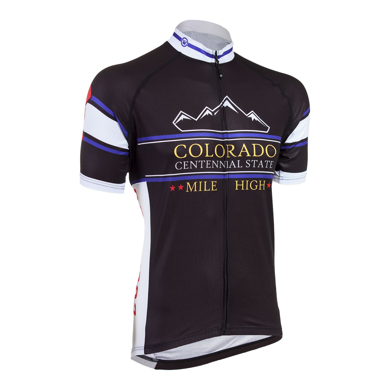 ballast point cycling jersey