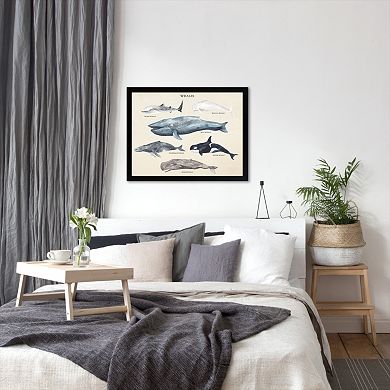 Americanflat "Whale Species LI" Framed Wall Art