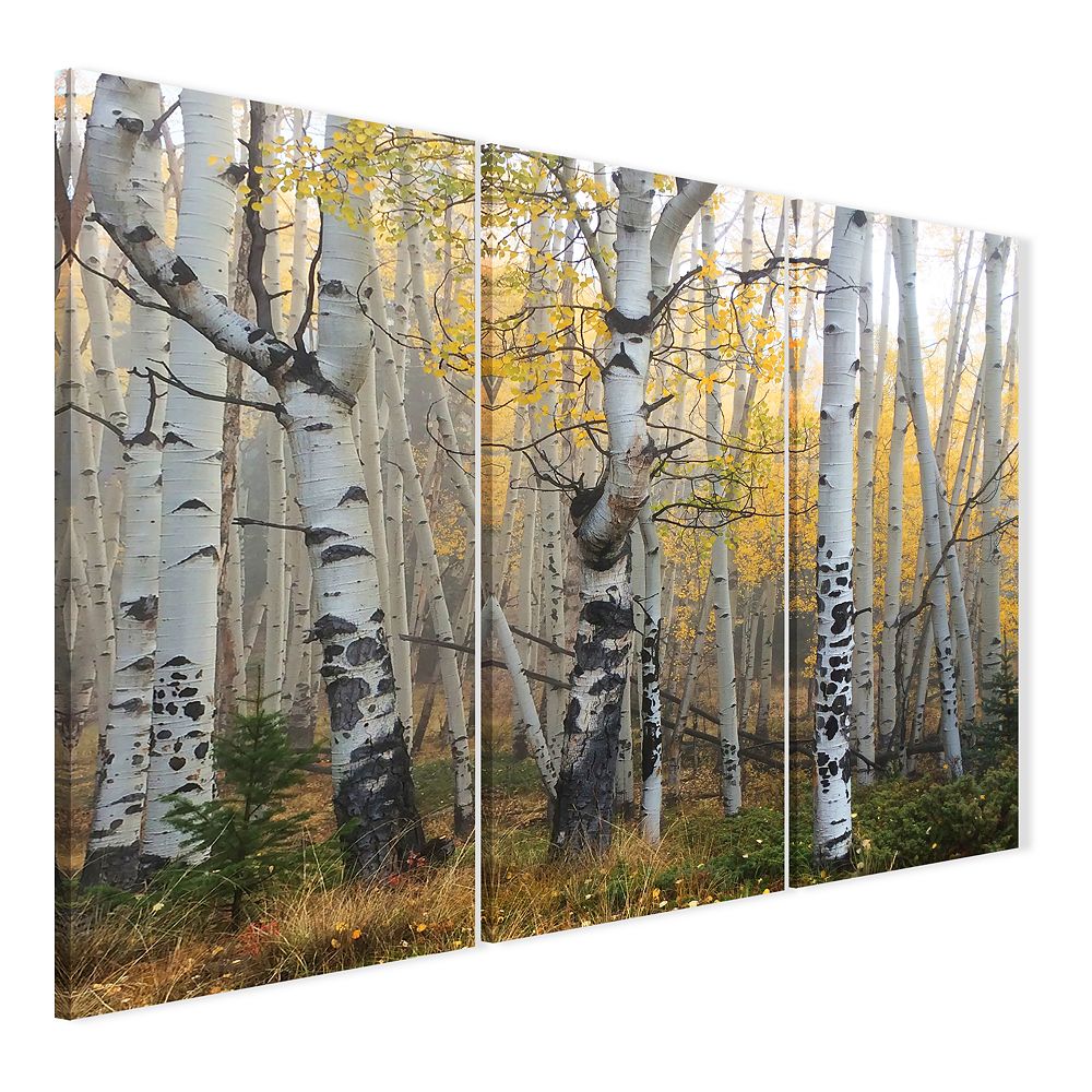Personal-Prints Misty Morning Wall Art - 3 piece Wrapped Canvas